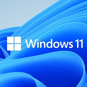 Windows 11 Professional OEM kopen